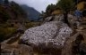 nepal-8926.jpg - 